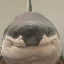 Ricketson's avatar